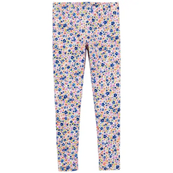 Ретүз охидын цэцэгтэй